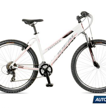 rent lady bike 350x356 - IDEAL CITY BIKE